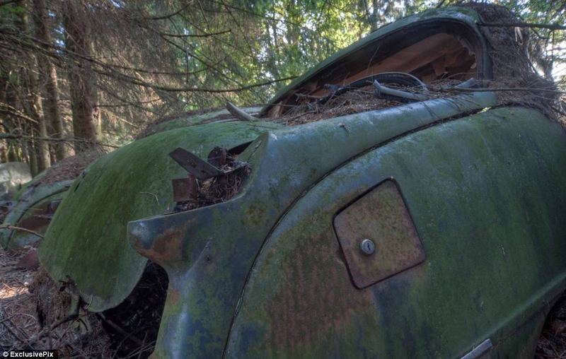 Illustration for article titled Chatillon, Belgium. The Graveyard Of The Cars Of The American Soldiers Deployed In Europe, Who Didn't Take Them Back To The U.S.A.